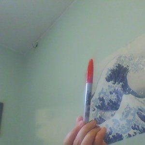 President Obama's Red Sharpie